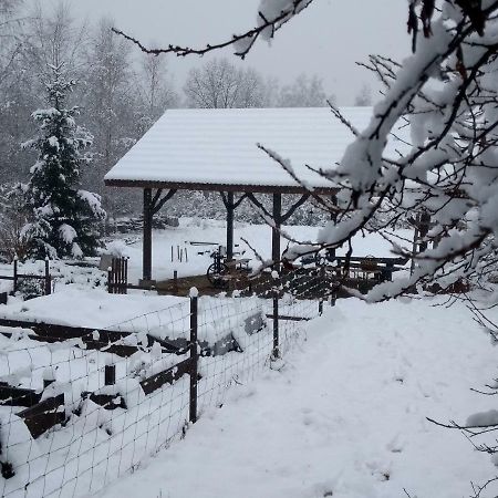 Вилла Agroturystyka U Maciejowej Лянцкорона Экстерьер фото